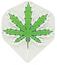 Cannabis