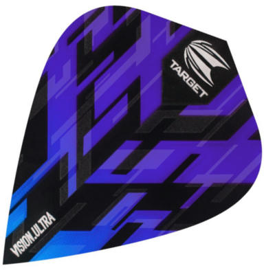 Vision 100 kite